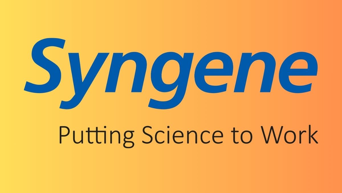 Bullish Indicators Spotted in Syngine - Is it Time to Buy this Stock