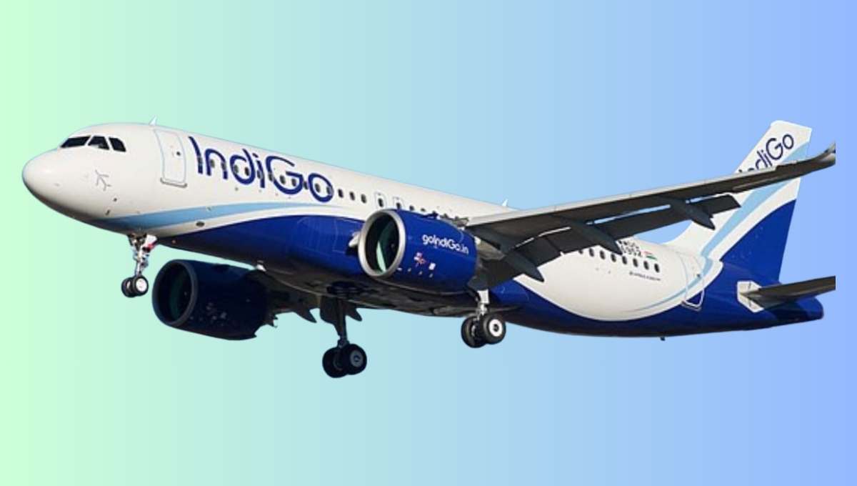 Aviation Ministry Raps IndiGo After Passengers Spotted Eating On Runway